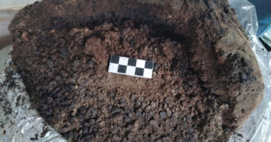 SCHIAVI ROMANI IN SALUTE CON FAVE E FRUTTA