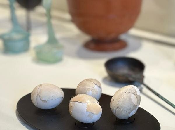 Viaggio nella storia del cibo