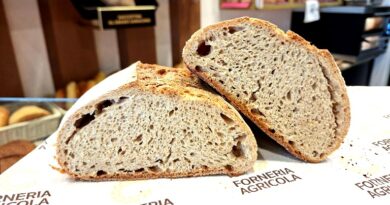 Pani con gli antichi grani, il Sud protagonista Pani con gli antichi grani, il Sud protagonista