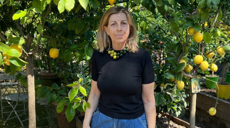 Lemon Tours, percorsi guidati