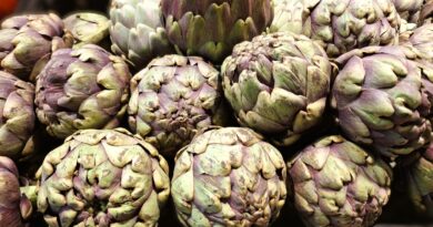 CARCIOFI TRA CUCINA E SALUTE