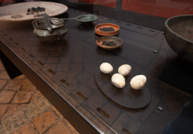 Mostra a Roma la vita quotidiana degli abitanti di Ercolano
