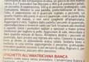 AMATRICIANA, il piatto che resiste al Terremoto