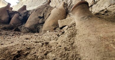 cosa mangiavano gli antichi romani, nuove scoperte