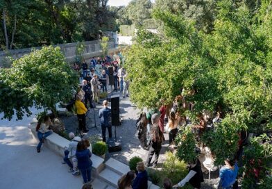 Giardino della Camelia - Reggia di caserta - Credits Marco Ferraro