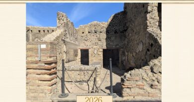 Ercolano, la taberna di vino e favino